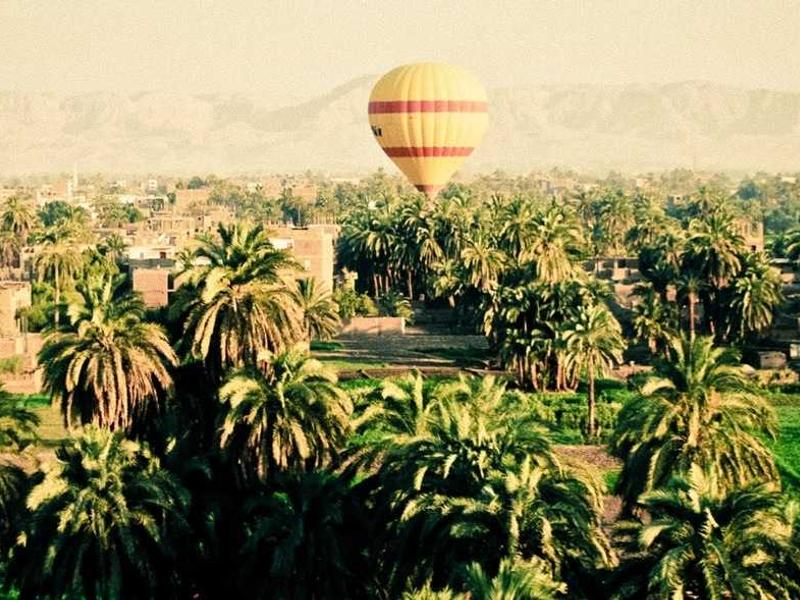 feedback screenshot 1